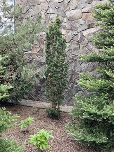 5E7F4775-C53C-4966-A0C2-97AF56914F62.jpeg