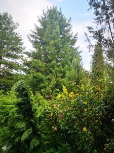 IMG_20220601_171755.jpg