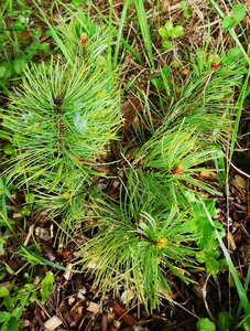 IMG_20220603_205629.jpg