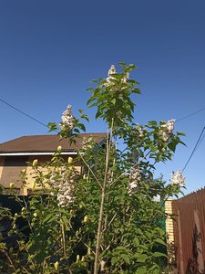 20c2fce4-a466-45a1-843c-b43783b01f9b.jpg