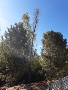 720AB7F4-72C8-4AF6-9CEB-5D8F96BE9133.jpeg