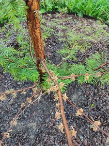 IMG_20220606_194816.jpg