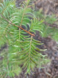 IMG_20220606_194737.jpg