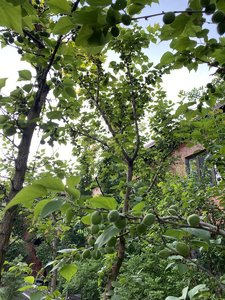 1A55D776-E221-41E2-8B74-3DF58E168B1E.jpeg
