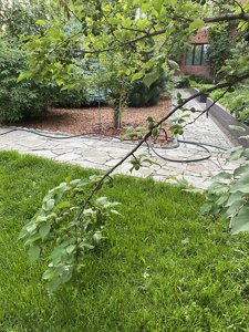 1F320281-A019-432E-B09C-DBE14AE1DF42.jpeg
