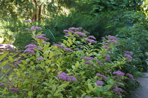 DSC03313.JPG