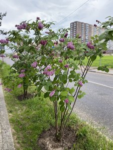 6D97C71C-9670-4A1F-B208-6F1B5684CCAB.jpeg