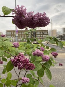 98E647AF-8454-428F-BCDC-C8C3D405113F.jpeg
