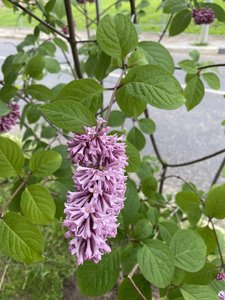 68DF730B-9C6F-40D9-BC30-DD08EFCD6A8C.jpeg