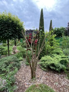 0ACA910E-BBE1-43A6-A0F2-4ADA8E8D657A.jpeg