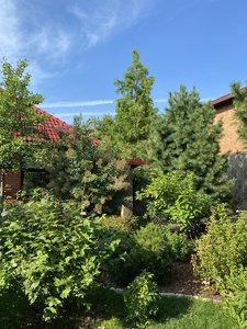 E7386B86-61C9-45D9-A4AF-05E59C2BE0E5.jpeg