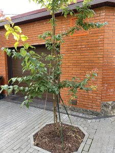 B22EA52D-CB32-42C6-AE93-C40B8DE54595.jpeg