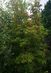 IMG_20220819_191149.jpg
