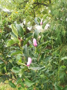 IMG_20220827_162423.jpg