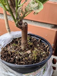 IMG_20220831_180414.jpg