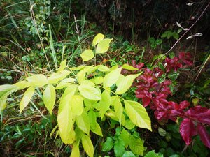 IMG_20220913_163030.jpg