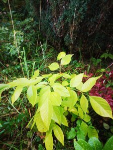 IMG_20220913_163037.jpg