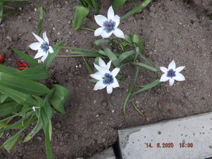 2020.06.14 Уч. № 1_ DSCF7878.JPG