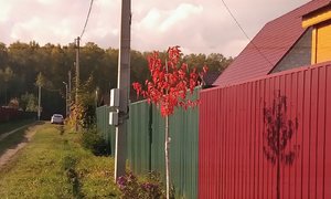 P_20221001_145316_1.jpg