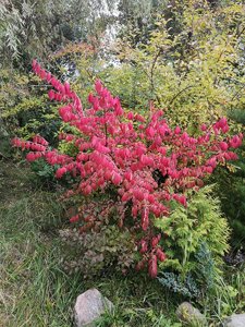 IMG_20220928_170125.jpg