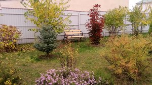 P_20221009_165754_1.jpg