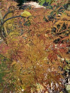 B0F84B4F-0025-41AD-A695-E699575989E0.jpeg