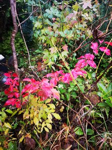 IMG_20221005_160642.jpg