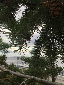 1B36A251-0908-4127-8C1D-1F0F6529DF80.jpeg