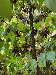 7B9DFD3B-4AAD-4610-A554-3A711183D050.jpeg