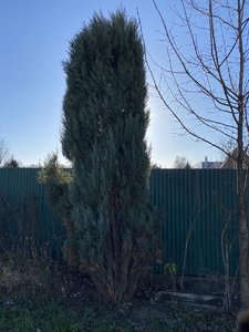 BE06D673-9EC4-42BE-94D3-B7B2DA552DF3.jpeg