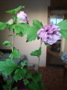 IMG_20230106_153447.jpg