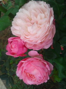 2022-10-05 09.00.11.jpg