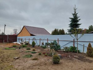 20230402_093916.jpg