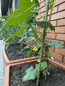 6B859757-2EDE-405C-96C3-CE8875C24EC1.jpeg