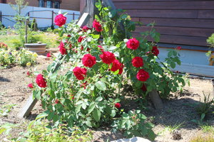 IMG_8072.JPG