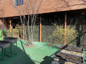 810AA0DE-AFFD-4CE7-AE55-122653AA82D7.jpeg