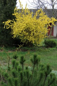 IMG_5328.JPG