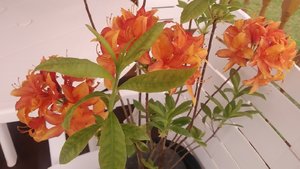 P_20230509_142844.jpg