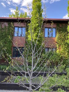 0B0C501D-5505-4EC5-9054-D5EB1ABB23D9.jpeg