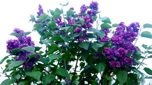P_20230520_203228_1_1.jpg