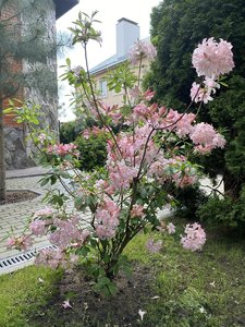 B87C695B-D89E-4EF6-BD7D-1E66A37C29C1.jpeg