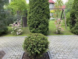 D2EE6785-4D5C-408F-9B4D-DE160C1C3BF8.jpeg