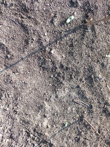 20230527_072445.jpg