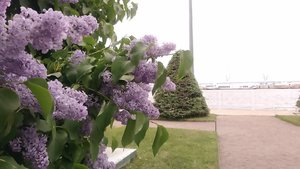 P_20230608_175637.jpg