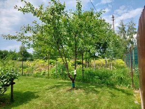 20230617_141247.jpg