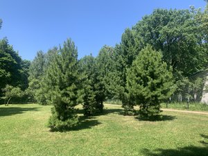IMG_5181.jpeg