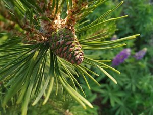 IMG_20230621_193839.jpg
