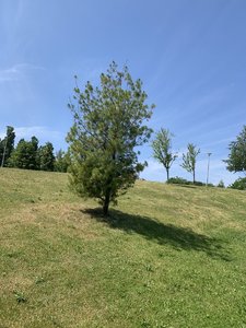 IMG_5272.jpeg