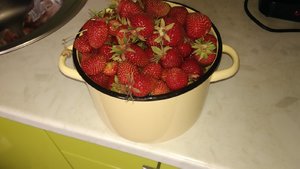 P_20230624_125139.jpg