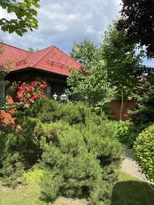 A8F2066D-7F77-49B4-905F-58EEA8182DA3.jpeg